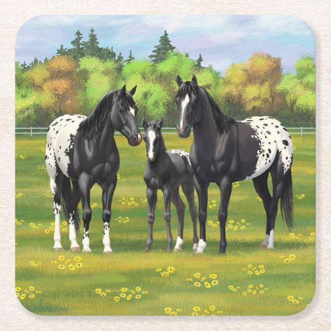 Black Appaloosa-hästar på sommarbetesgång Underlägg Papper Kvadrat (Framsidan)