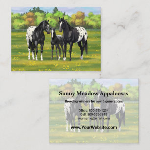 Black Appaloosa-hästar på sommarbetesgång Visitkort