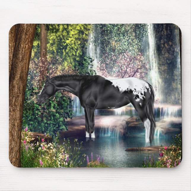 Black Appaloosa Horse Waterfall Background Musmatta (Framsidan)