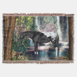 Black Appaloosa Horse Waterfall Background Mysfilt
