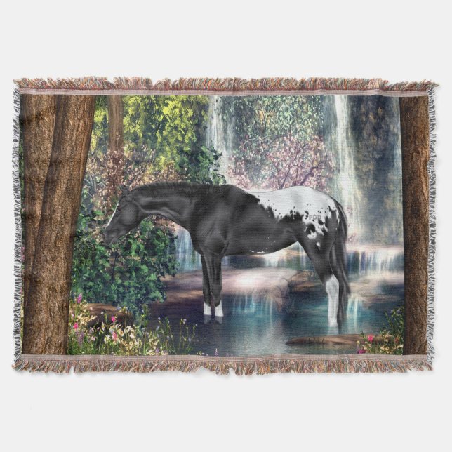 Black Appaloosa Horse Waterfall Background Mysfilt (Framsidan)