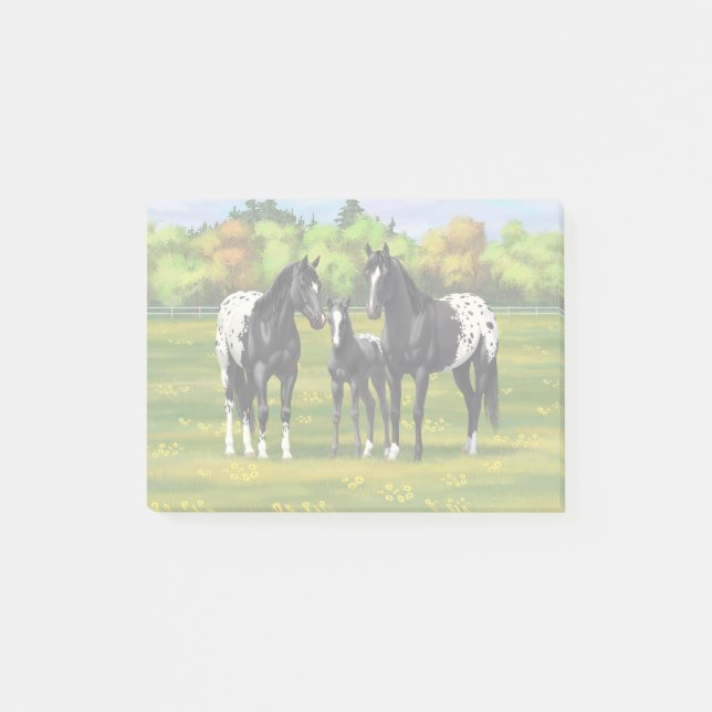 Black Appaloosa Horses In Summer Pasture Post-it Block (Framsida)