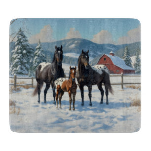 Black Appaloosa Horses on a Farm in Winter