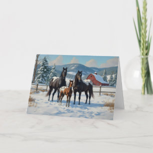 Black Appaloosa Horses on a Farm in Winter Helgkort