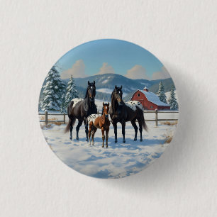 Black Appaloosa Horses on a Farm in Winter Knapp