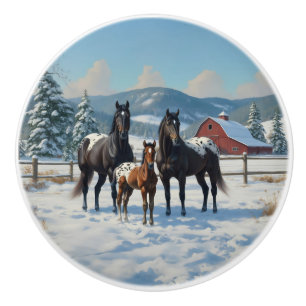 Black Appaloosa Horses on a Farm in Winter Knopp