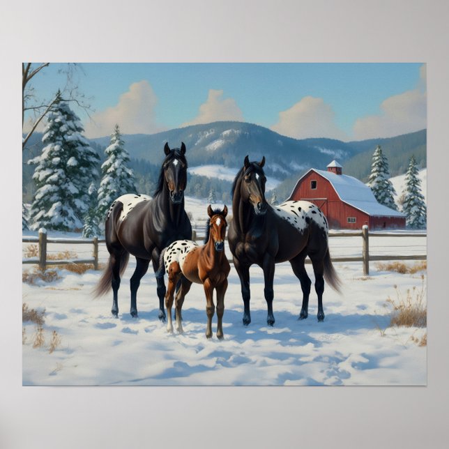 Black Appaloosa Horses on a Farm in Winter Poster (Framsidan)