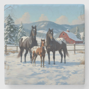 Black Appaloosa Horses on a Farm in Winter Stenunderlägg