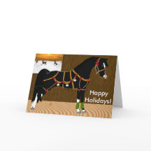 Black Arabian Horse jul