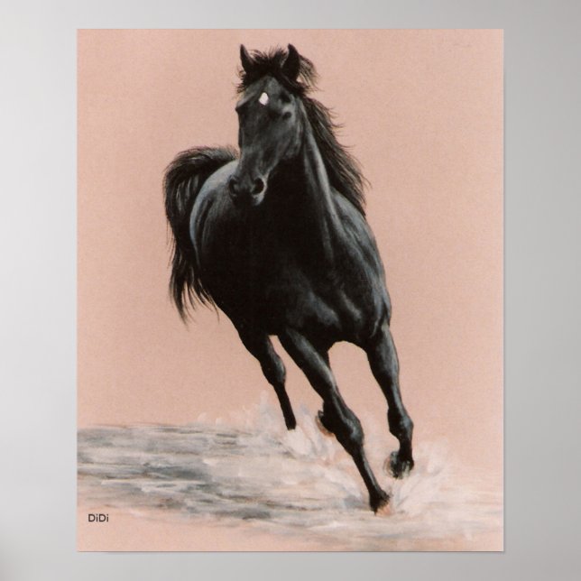 Black Arabian Horse print Poster (Framsidan)