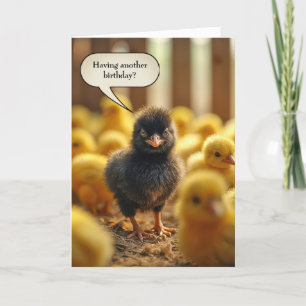 Black Baby Chick Birthday Humor Kort