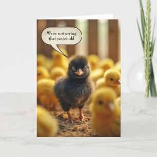 Black Baby Chick Birthday Humor Kort