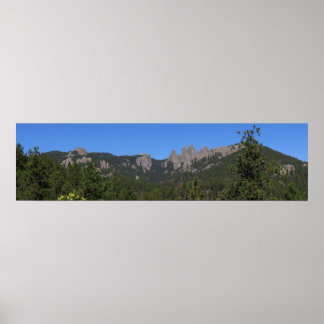 Black Backe Panoramic 53 Poster
