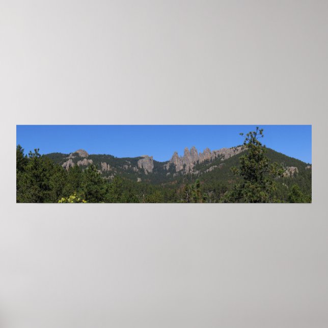Black Backe Panoramic 53 Poster (Framsidan)