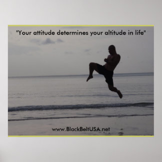 Black Bälte USA Poster1 Poster