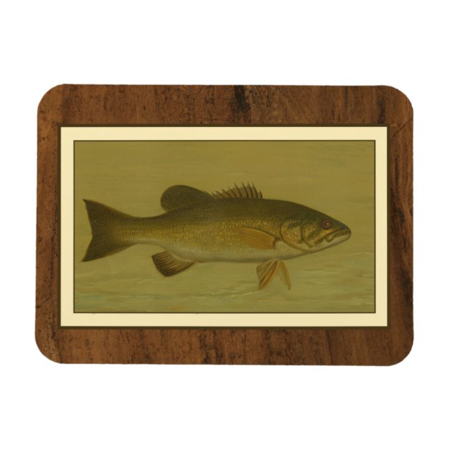 Black Bass på en Grönt-bakgrund Magnet (Horisontell)