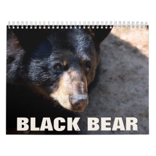 Black Bear 2022 Wall Calendar Kalender