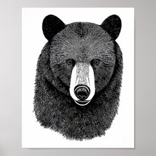 Black Bear Ansikte original Animal art teckning Poster