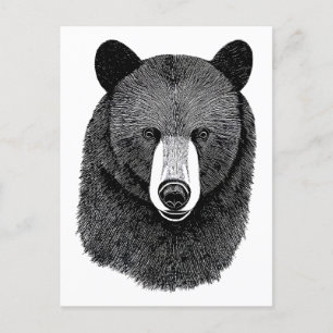 Black Bear Ansikte original Animal art teckning Vykort