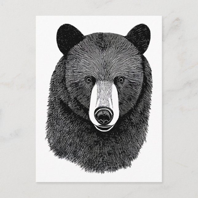 Black Bear Ansikte original Animal art teckning Vykort (Framsida)