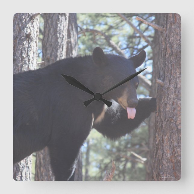 Black Bear Clock Fyrkantig Klocka (Framsida)