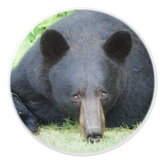Black Bear - "Cubby" Ceramic Knob Knopp