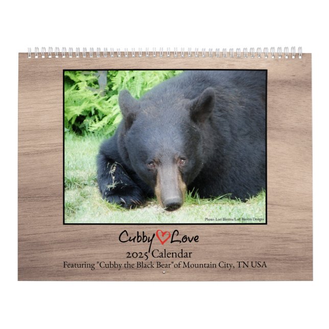Black Bear - Cubby Kärlek 2025 Calendar Kalender (Omslag)