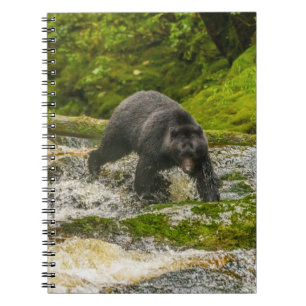 Black Bear Fishing Qua Creek British Columbia Anteckningsbok