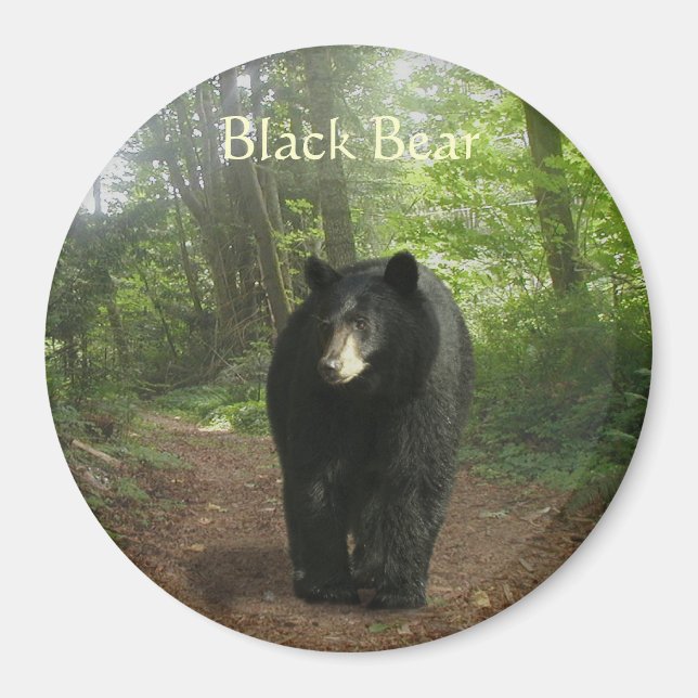 BLACK BEAR Forest Nature Magnet (Framsidan)