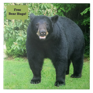 Black Bear - "Free Bear Hugs-Cubby the Black Bear" Kakelplatta
