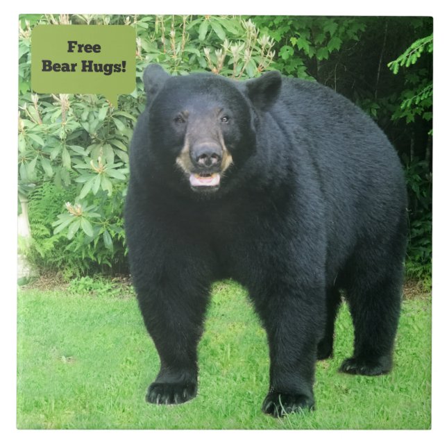 Black Bear - "Free Bear Hugs-Cubby the Black Bear" Kakelplatta (Framsidan)