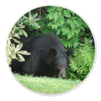 Black Bear - Hej Cubby Ceramic Knob Knopp
