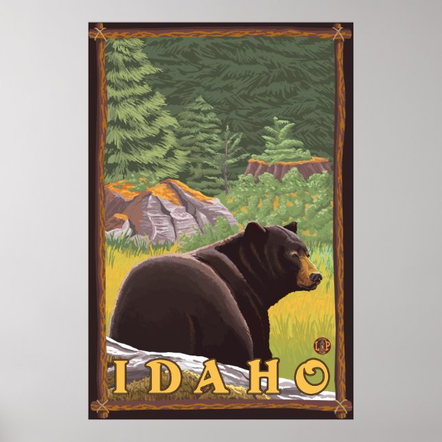 Black Bear i Forest - Idaho Poster (Framsidan)