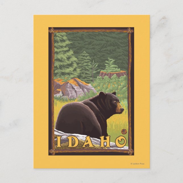 Black Bear i Forest - Idaho Vykort (Framsida)