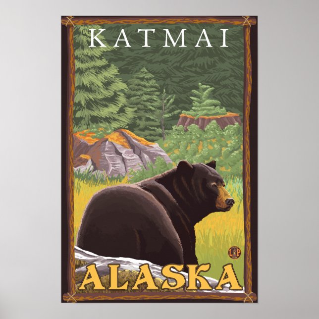 Black Bear i Forest - Katmai, Alaska Poster (Framsidan)