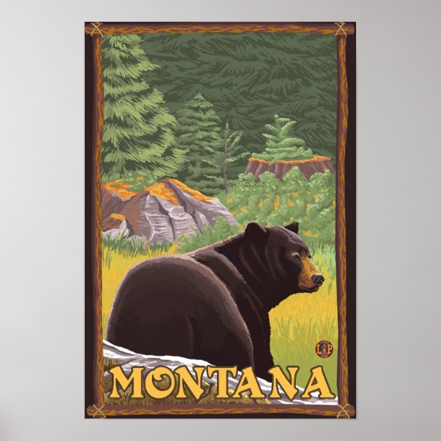 Black Bear i Forest - Montana Poster (Framsidan)
