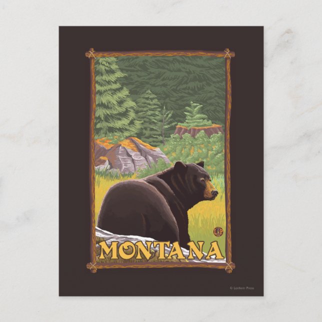 Black Bear i Forest - Montana Vykort (Framsida)