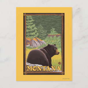 Black Bear i Forest - Montana Vykort
