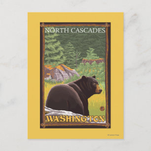 Black Bear i Forest - North Cascades, Washingto Vykort