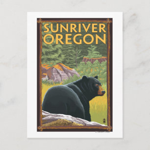 Black Bear i Forest - Sol River, Oregon Vykort