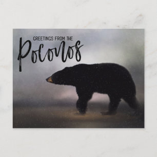 Black Bear i Winter Hälsning från Poconos Vykort