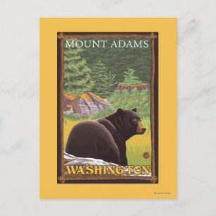 Black Bear in Forest - Mount Adams, Washington Vykort