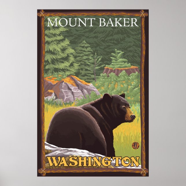 Black Bear in Forest - Mount Baker, Washington Poster (Framsidan)