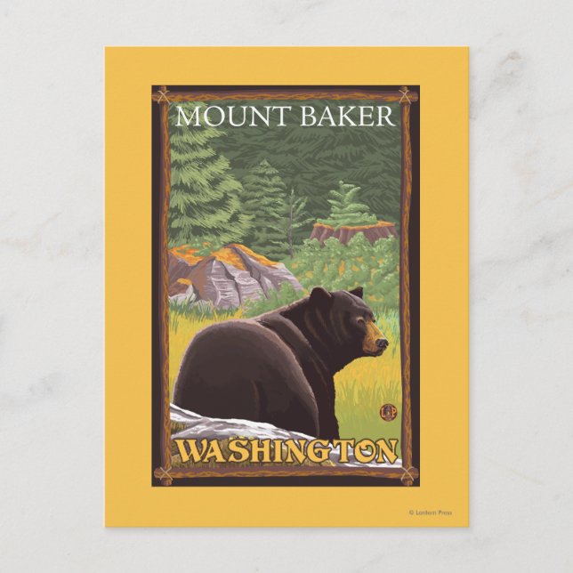 Black Bear in Forest - Mount Baker, Washington Vykort (Framsida)