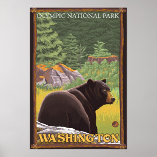 Black Bear in Forest - Olympic Nat'l Park, WA Poster