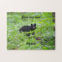 Black Bear in forest