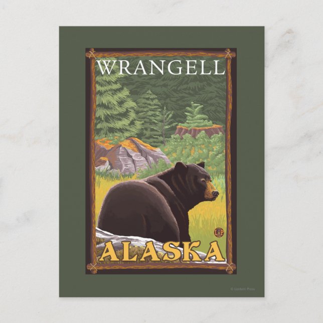 Black Bear in Forest - Wrangell, Alaska Vykort (Framsida)