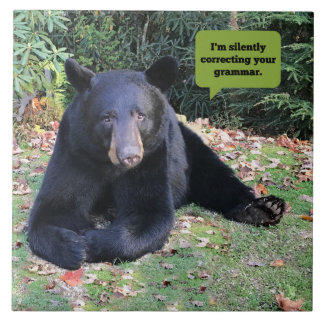 Black Bear - jag korrigerar din grammatik med tyst Kakelplatta
