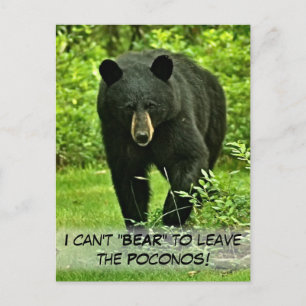 Black Bear kan inte Lämna! Vykort