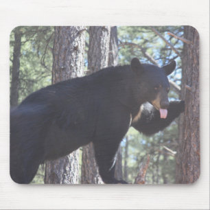 Black Bear Mousepad Musmatta